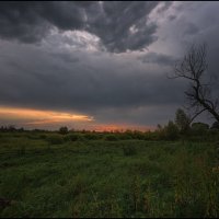 начало нового дня... :: Наталья Маркова