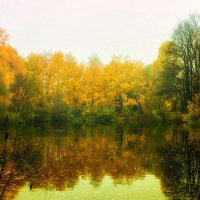 Озеро осени :: Александр Агеев