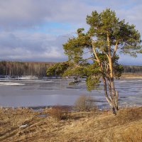 Апрель. :: Сергей Компаниец