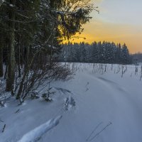 Один январский день :: Юрий Митенёв