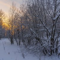 Солнышко пошло спать... :: Юрий Митенёв