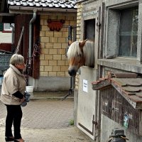 две блондинки :: Александр Корчемный