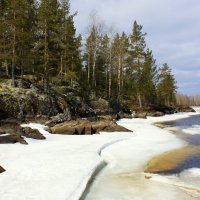 ВЕСЕННИЙ ЛЕС :: Николай Гренков