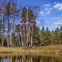 Тишиной согретый ветерок... :: Лесо-Вед (Баранов)