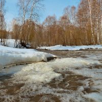 Весенний ручей :: Олег Дмитриев