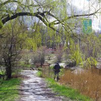 весна :: юрий иванов