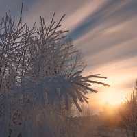 Морозным утром :: Николай Белавин