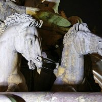 FONTANA DEL NETTUNO :: ira mashura