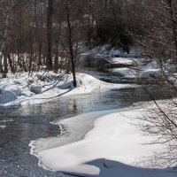 Весенний день... :: Ирина Елагина