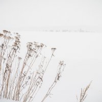 зима :: Соня Орешковая (Евгения Муравская)