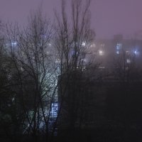 Город в тумане :: Юлия Говорова