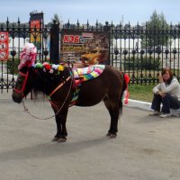 Перекур. :: Елизавета Успенская