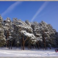 ...... :: павел Труханов