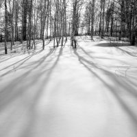 Тени на снегу :: Александр Мурзаев
