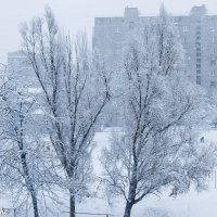 Первый снег. :: Влад Пастушенко