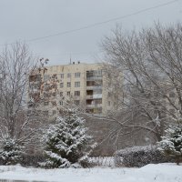 Зима :: Вера Гойнова
