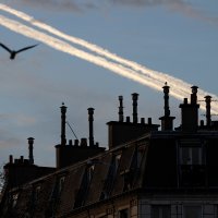 Крыши Парижа :: Андрей Старков