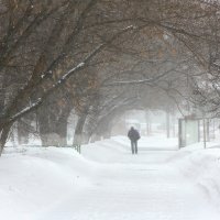 Вокруг только белый цвет... Снег... :: Екатерина Маринина