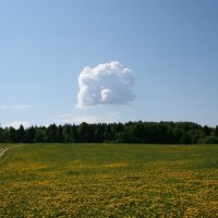 Оазис в жаркий день :: Андрей Белецкий