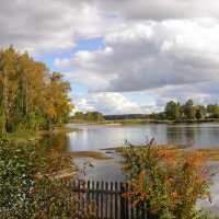 Осенние краски :: Светлана Масюкевич