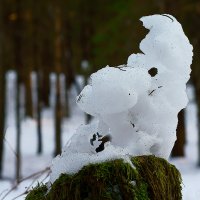 снеговой божок - 2 :: Александра Strix
