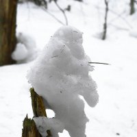 снеговой божок - 1 :: Александра Strix