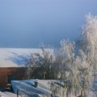 морозное утро :: Наталья Grass
