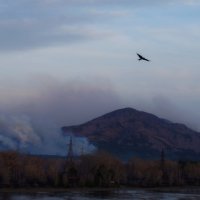 пожар в хакасии :: Елена Никитенко