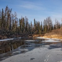 Осень на Чуле :: Николай Андреев