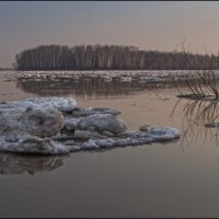 зима уплывает... :: Наталья Маркова