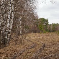 Апрельская зарисовка. :: Юрий Шувалов