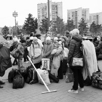 Маленькие звезды... :: Елена Иванова