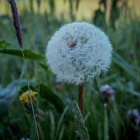 Прохладная весна на Кубани. :: Андрей Печерский 