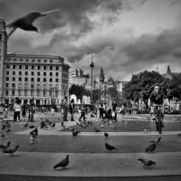 ...и голуби на главной площади большого города :: Сергей Дабаев