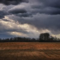 Апрельские дожди. :: Andrei Dolzhenko
