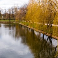 У Новодевичьего монастыря :: Янгиров Амир Вараевич 