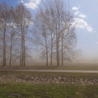 Пыльная буря :: Андрей Воробьев