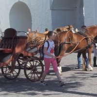 Всем хочется прокатиться :: Владимир Ростовский 