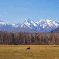 Восточные Саяны. Апрель :: Валентина Налетова