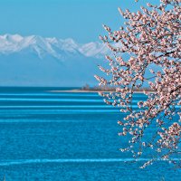 Иссык Куль :: Евгений Предыбайло