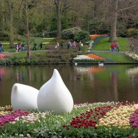 Tulips in Holland 04-2015 :: Arturs Ancans