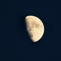 Луна 4 :: Вячеслав Карпов