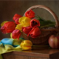 "Как люблю красоту и блаженство тюльпанов..." :: Юлия Назаренко