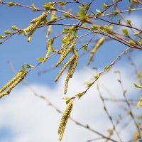 ветер в волосах :: Эльмира Суворова