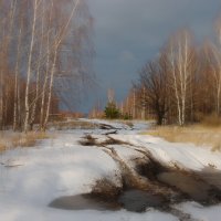 Один весенний день. :: Валерий Трусов