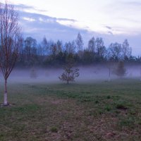 Вечерний туман :: Vladimir 