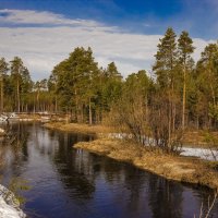 Весна :: Николай 