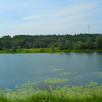 Пейзаж :: Галина Медведева