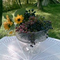 цветы и виноград :: салазкин владимир 