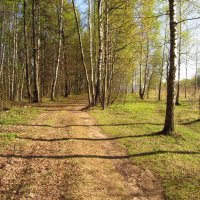 В Лосином острове - ласковый май :: Андрей Лукьянов